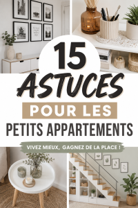 Un petit appartement bien aménagé avec des solutions de rangement créatives et un décor moderne.