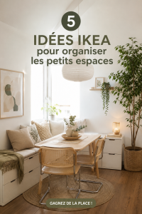 Un salon aménagé avec des meubles IKEA optimisant l'espace