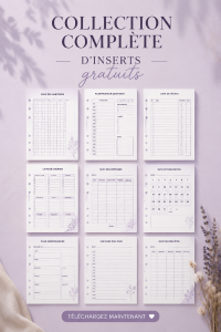 Personne utilisant un planificateur avec des inserts colorés et organisés.