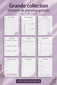 Collection d'inserts gratuits pour planners en PDF