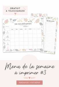 Exemple de menu de la semaine à imprimer avec des recettes variées