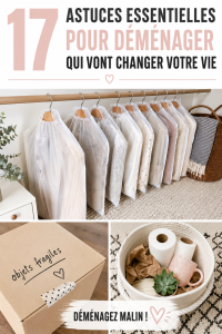 Un cartons de déménagement avec des éléments essentiels, représentant une préparation efficace et organisée.