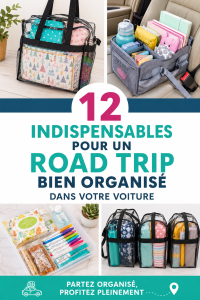 Vue d'une voiture bien organisée pour un road trip, avec des accessoires pratiques.
