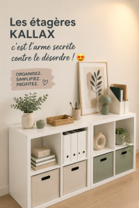 Etagère KALLAX organisée avec des livres et des décorations dans un séjour moderne