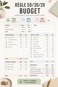 Modèle de budget Excel affiché sur un ordinateur