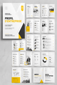 Modèle de profil professionnel avec des sections bien définies.