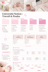 Capture d'écran d'un modèle Notion d'étude avec des notes organisées et des tâches à cocher.