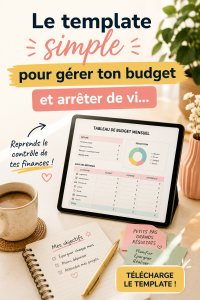 Template visuel pour la gestion de budget quotidien
