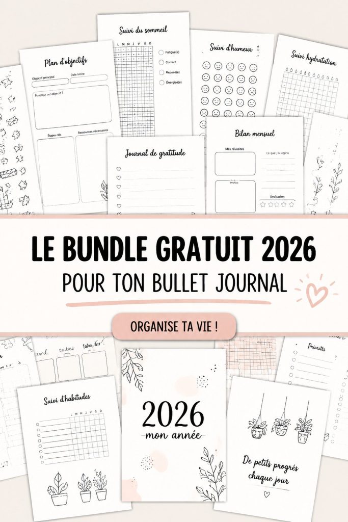 Illustration d'un Bullet Journal rempli de pages colorées et bien organisées.