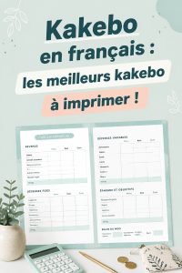 Modèle de kakebo à imprimer pour gérer ses finances personnelles.
